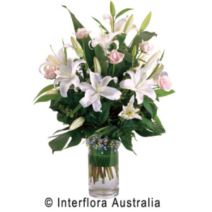 Graceful