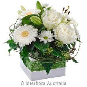 Box arrangement of white classic blooms