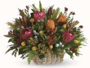 Native Basket Arrangement