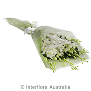 White Orchid Spray