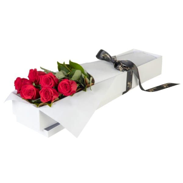 6 Red Roses Boxed