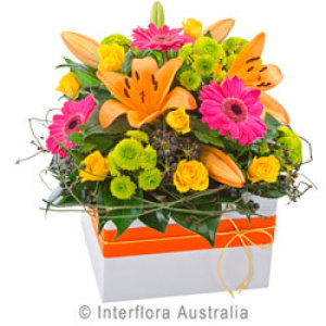 Fiesta Large Colourful Box Arrangement