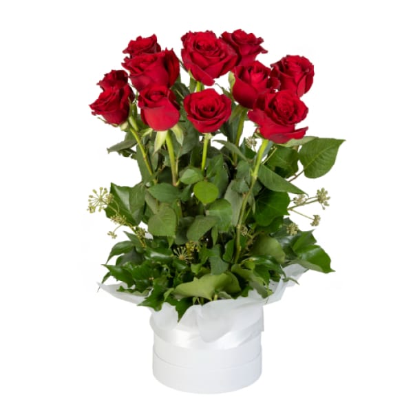 Roses in a Hat Box