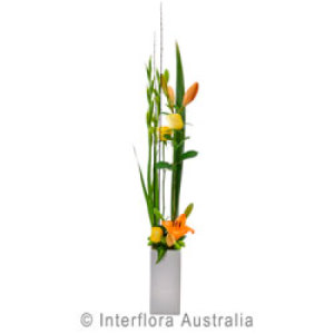 Fleur Large Modern Pot Arrangement