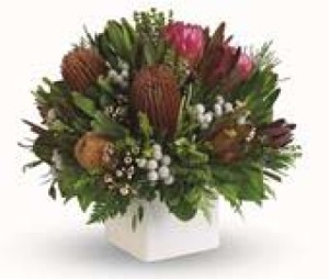 Beautiful Bush Native Pot Arrangement