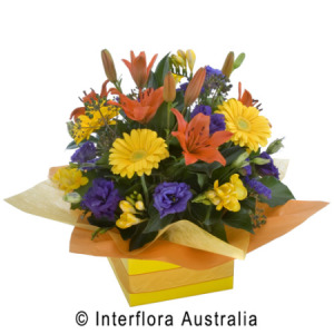 Colourful Box Arrangement