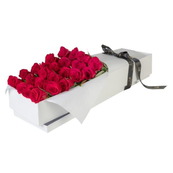 24 Roses Gift Boxed