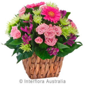 Basket Arrangement of Colourful Flowers