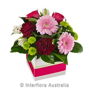 Box of Pink Gerbera Carnations and Roses