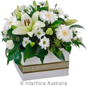 Classic White Box