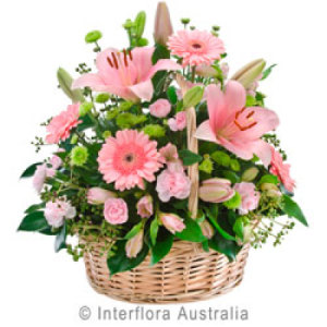 Beautiful Basket Arrangement