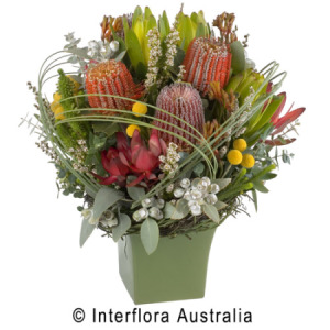 Banksia Pot