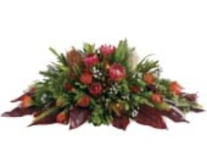 Native Arrangement