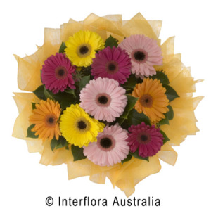 bouquet of mixed Gerbera