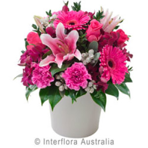 Pot Arrangement of Pink Blooms